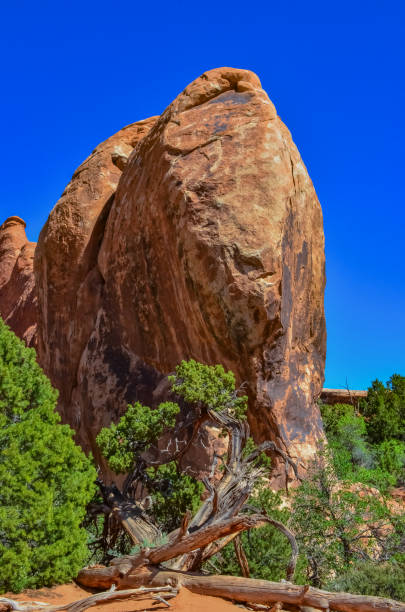 istock Eroded landscape, Arches National Park, Moab, Utah, US 1984711158