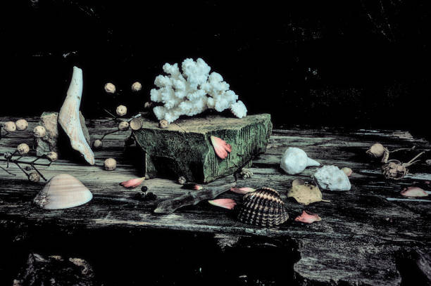 istock Fine art still life from Italy 1984752191
