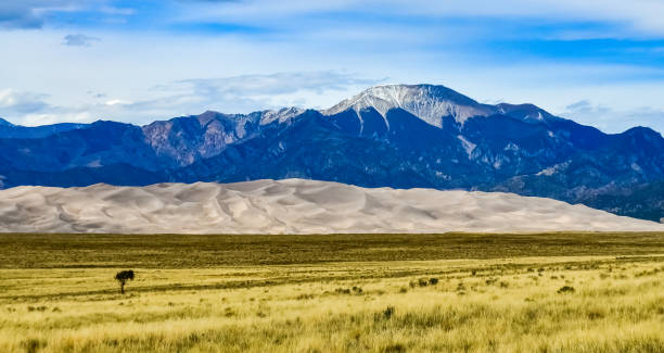 istock Great Sand Dunes with mountains in the background, Colorado, US 1984753282