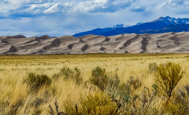 istock Great Sand Dunes with mountains in the background, Colorado, US 1984753290