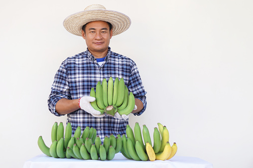 Handsome Asian man farmer wear hat, blue plaid shirt, hold bunch of bananas. Concept, agriculture occupation. Thai farmer grows organic bananas for selling, Fruit seller.