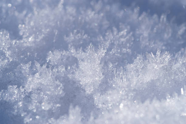 istock Photographing fallen snow with a macro lens 1984783299