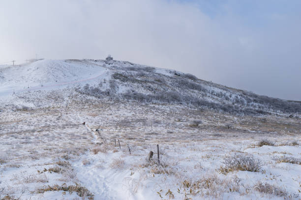 Snow-covered plateau Kurumayama Plateau