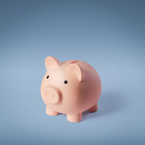 istock Piggy bank: investments and savings 1984806741