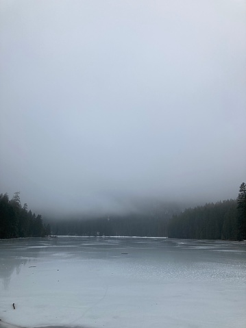 A misty winter ambiance with serene lake surrounded by trees