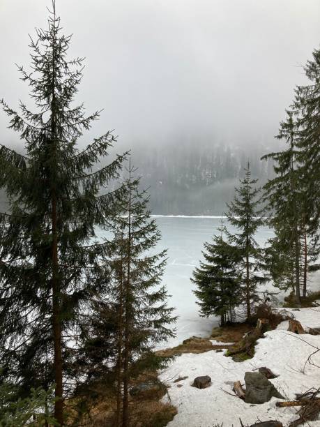 istock Frozen lake in a forest, blanketed in snow, encircled by trees 1984820940