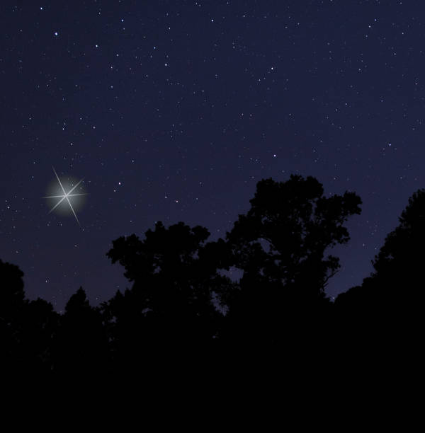 istock Christmas star rising over a dark forest 1984832482