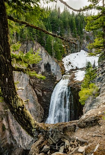 Clear Creek Falls, Wenatchee National Forest. Rainier National Park, Washington USA