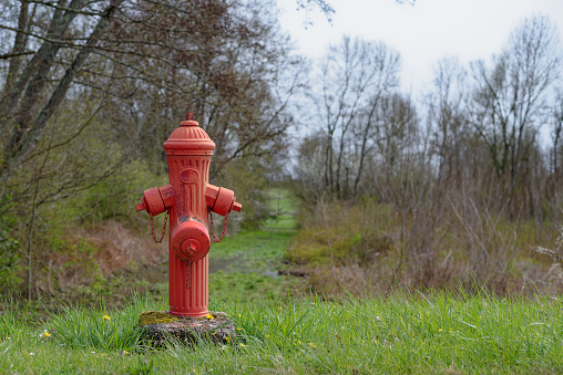 Red fire hydrant. In the countryside. Forest fire prevention. Firefighters