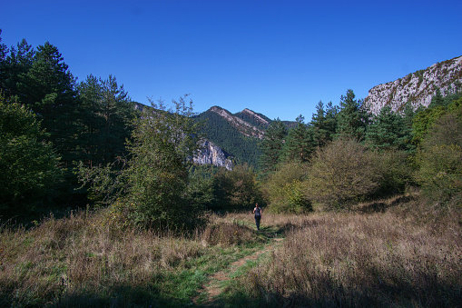 Hiking woman on path through mountain landscape in Pyrenees Mountains with forest during autumn near Isaba, Navarra, Spain