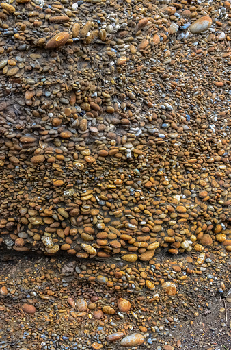 Clumping oval stones are washed away by water ashore in Olympic National Park, Washington, USA