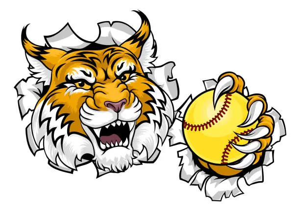 Vector illustration of Wildcat Bobcat Softball Animal Sports Team Mascot