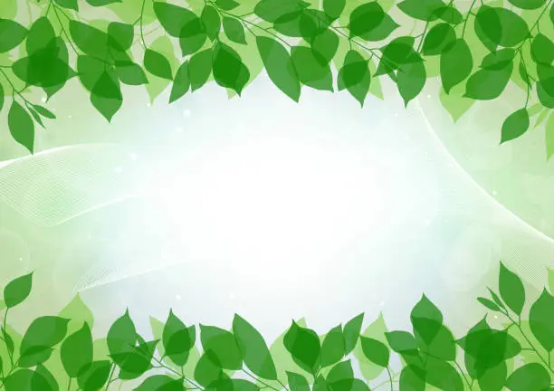 Vector illustration of Leaf and wave frame background