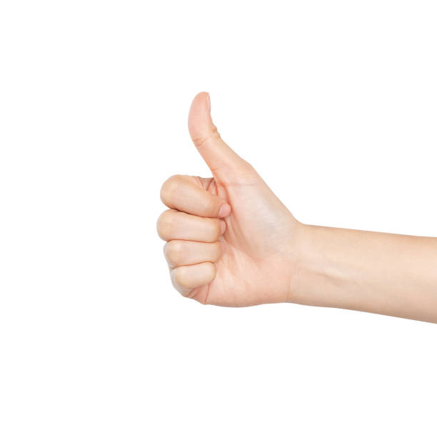istock Clipping path, hand thumbs up or like sign on isolated white background. 1984924686