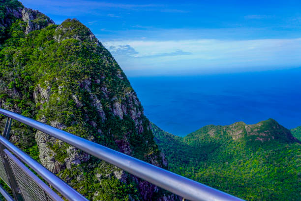 ponte do céu da ilha de langkawi na malásia. - tropical rainforest elevated walkway pulau langkawi malaysia - fotografias e filmes do acervo