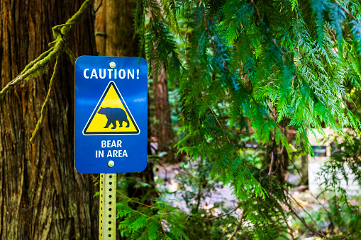 bear warning sign in Canada