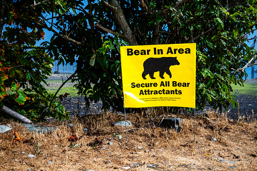 bear warning sign in Canada