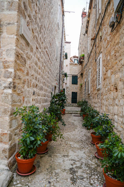 istock alleyway of Dubrovnik 1984973831