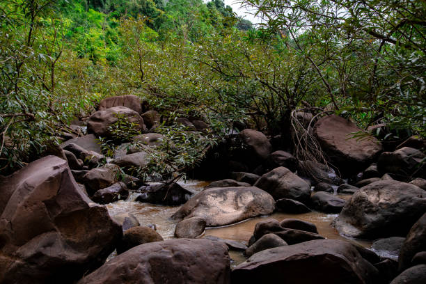 istock A big rock in the forest. Water flowing through the rock. Water source from the forest. Watershed forest. 1985030922