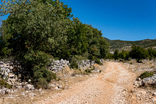 istock ground road through a hilly terrain in Croatia 1985038376