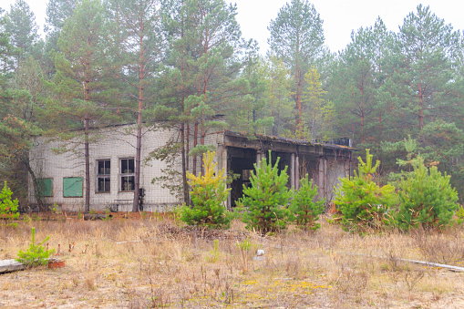 Old abandoned house in the ghost town Pripyat in Chernobyl Exclusion Zone, Ukraine