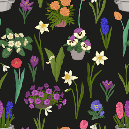 Spring flowers seamless pattern. Ornament of snowdrops, tulips, narcissus, pansies, crocus, hyacinth, primrose, marigolds, petunias, lilies of the valley.