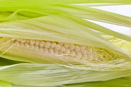A closeup of an opened fresh corn cob