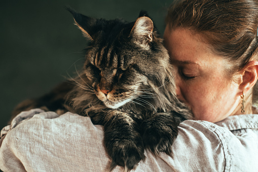 Affectionate moment between a woman and her pet cat