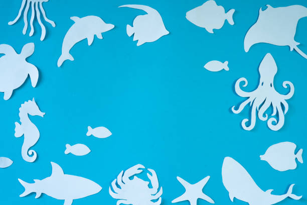 istock blue background with animal cut out paper frame 1985156246