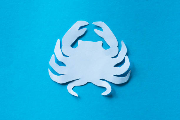 crab paper cut out craft in blue background