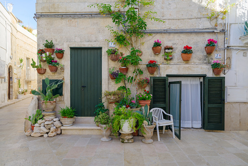 Monopoli, Italy - October 30, 2023: Flowering potted plants in the street of Monopoli old town, Puglia region, Italy