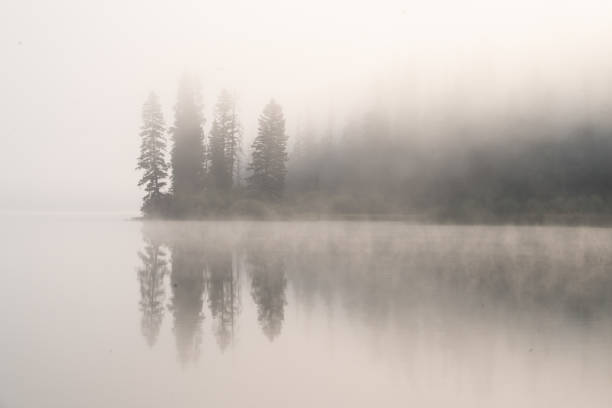 reflections on the lake - reflection imagens e fotografias de stock
