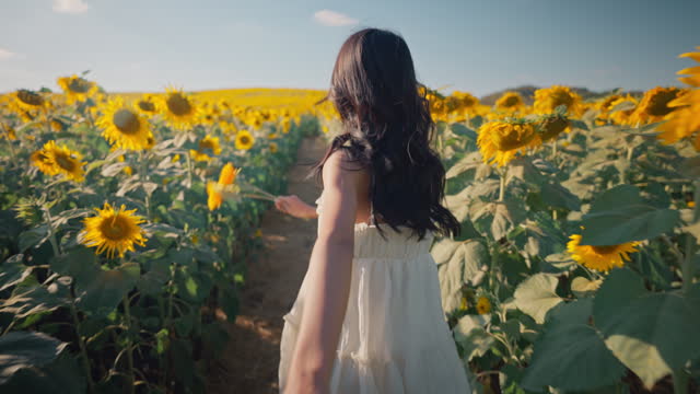 Free girl and guy hand in hand while run in sunflowers field at sunset, Young asian woman travels through countryside with her boyfriend