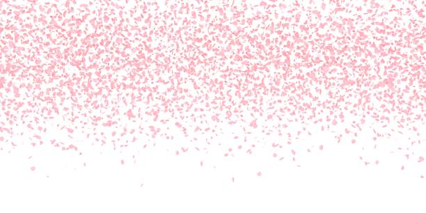 istock Spring flower background, petals cherry blossoms 1985213600