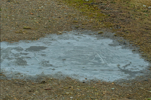 Spacious countryside. A puddle covered with an icy crust of ice on a rural road.