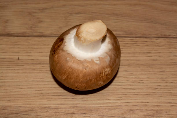 One brown champignon is upside down with its legs on a splitter board. Ingredient for many dishes brown champignon