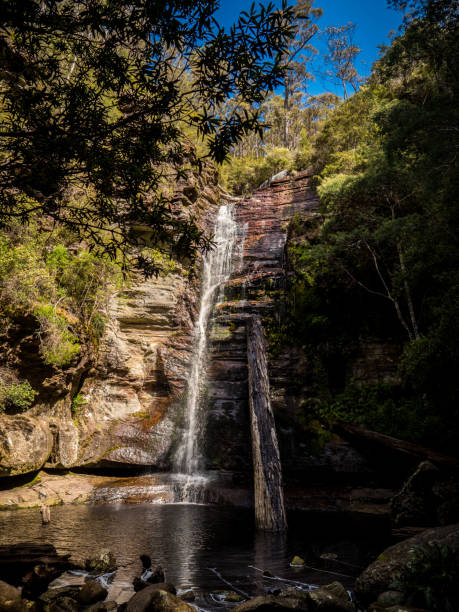 istock Snug Falls - waterfall in rural Tasmania 1985353644