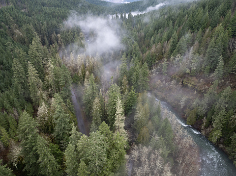 Not far south of Portland, Oregon, the Molalla River flows through Molalla River Valley, home to extensive forests, beautiful hiking, biking, and equestrian trails.