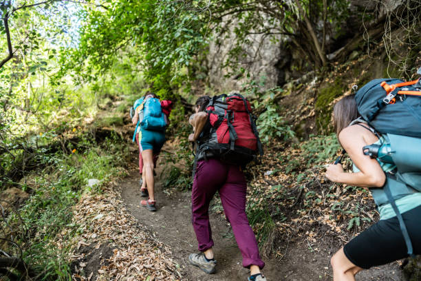 istock Women doing a hike in the forest 1985369353