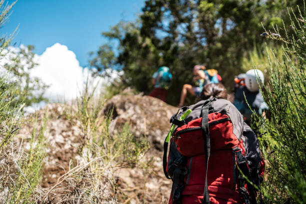 Women doing a hike in the forest