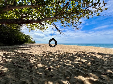 A distant tire swing hangs from a tree branch against water and blue sky with white clouds in Rincón, Puerto Rico
