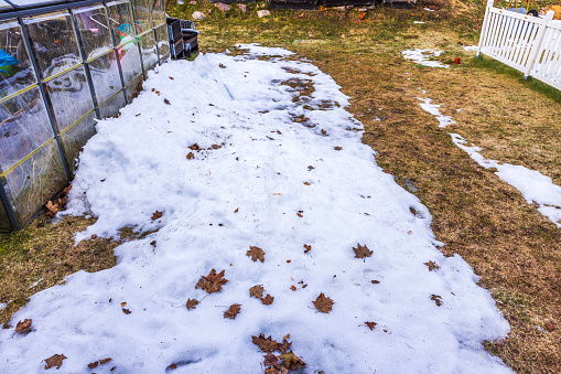 View of spring garden with greenhouse and remnants of snow after winter. Sweden.