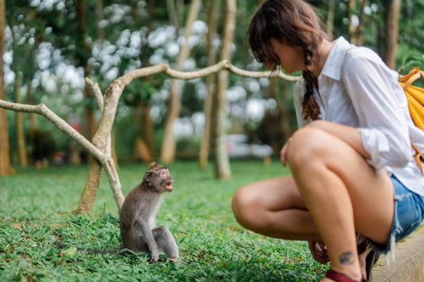 Woman interacting with macaque in Ubud Monkey forest