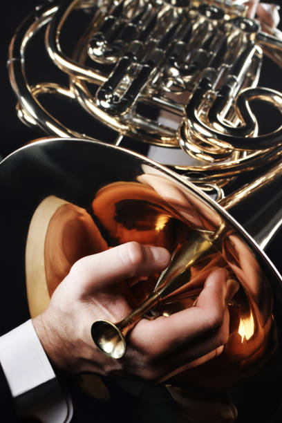 istock French horn player hands close up with mute 1985486878