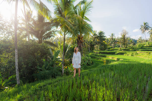 istock Cheerful woman walking on rice paddy on Bali 1985494863