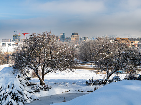 Trees help to frame a winter skyline of Boise Idaho