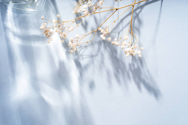 istock Abstract shadow sun glare from glass and leaves, empty background composition for product presentation. Beautiful trendy background. 1985498605