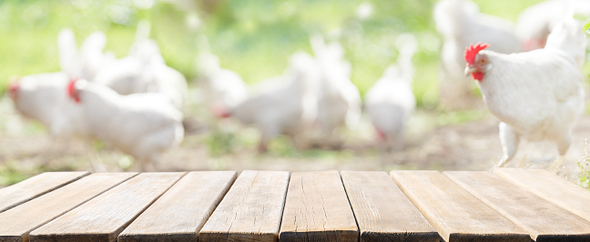 Empty old wooden table and chicken farm background. Summer day
