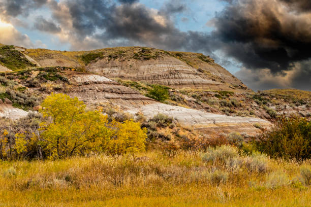 istock Midland Provincial Park, Alberta, Canada 1985515866