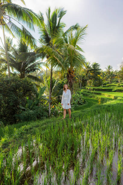 istock Cheerful woman walking on rice paddy on Bali 1985528435